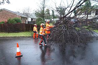 Supplied By New South Wales Stat/NEW SOUTH WALES STATE EMERGENCY SERVICE/APA/dpa | Herabstürzende Bäume haben auch Häuser beschädigt. 