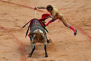 Alvaro Barrientos/AP/dpa | Im Verlauf des neuntätigen San-Fermín-Festes in Pamplona werden 48 Bullen getötet. (Archivbild)