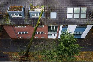 Christoph Reichwein/dpa | Im Nordwesten stürzten wegen der starken Winde viele Bäume um.