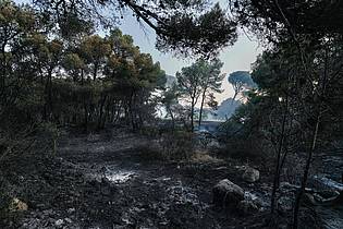 Idriss Bigou-Gilles/AFP/dpa | Mehrere Tausend Hektar Fläche sind in Frankreich bereits von Waldbränden in Mitleidenschaft gezogen worden.