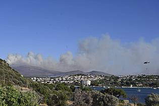 Anne Pollmann/dpa | Das auf einem Acker ausgebrochene Feuer soll sich durch starken Wind auf umliegende Büsche und Wälder ausgebreitet haben.