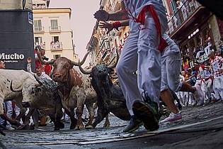 Miguel Oses/AP/dpa | Die «Sanfermines» sind dem Stadtheiligen San Fermín gewidmet.