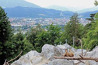 Verena Wolff/dpa-tmn | Innsbruck bewirbt sich als ESC-Bühne in den Alpen. (Archivbild)
