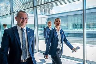 Michael Kappeler/dpa | Die AfD-Chefs Tino Chrupalla (l.) und Alice Weidel können sich über einen spürbaren Anstieg ihrer Monatseinkünfte freuen. (Archivbild)