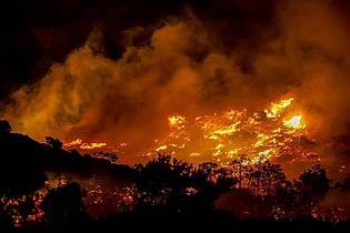 STR/INTIME NEWS/AP/dpa |  Wegen starker Winde breiteten sich die Flammen rasch aus.