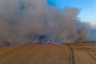 Daniel Wagner/dpa | In der Gohrischheide an der Grenze von Sachsen und Brandenburg kämpfen Einsatzkräfte weiterhin gegen einen Waldbrand an.