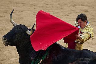 Miguel Oses/AP/dpa | Die Stierläufe finden in Pamplona morgens, die Kämpfe abends statt.