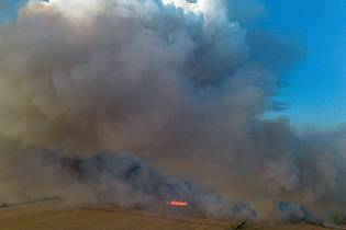 Daniel Wagner/dpa | Das Areal wurde früher als Truppenübungsgelände genutzt.
