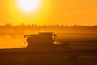 Patrick Pleul/dpa | Am Dienstag kommt Deutschland dem Höhepunkt der laufenden Hitzewelle immer näher.