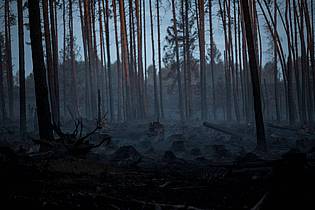 Daniel Vogl/dpa | Seit Mittwoch sind Feuerwehren und andere Einsatzkräfte auf der Saalfelder Höhe ununterbrochen im Einsatz.
