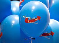 Monika Skolimowska/dpa-Zentralbild/dpa | Dürfen AfD-Mitglieder in Rheinland-Pfalz nicht in den öffentlichen Dienst übernommen werden? Das wird letztlich im Einzelfall entschieden. (Symbolbild)